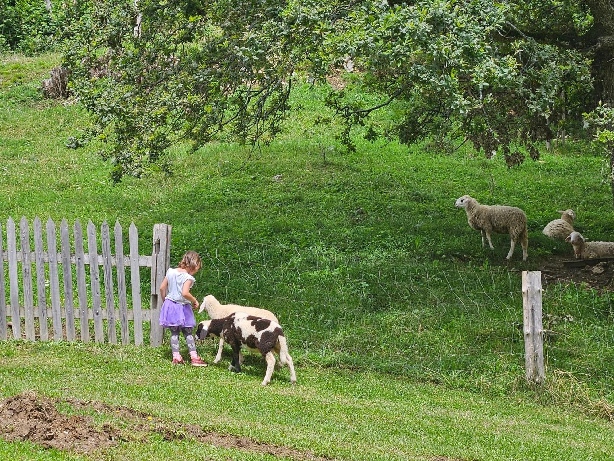 Tourist Farm Pr'Dovar 서클리예나고렌스켐 외부 사진